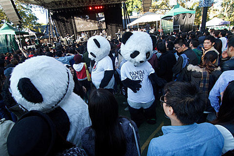 Modern Sky Festival 2015 happening in NYC & Seattle with Gang of Four, Black Lips, Ariel Pink, Lower & more