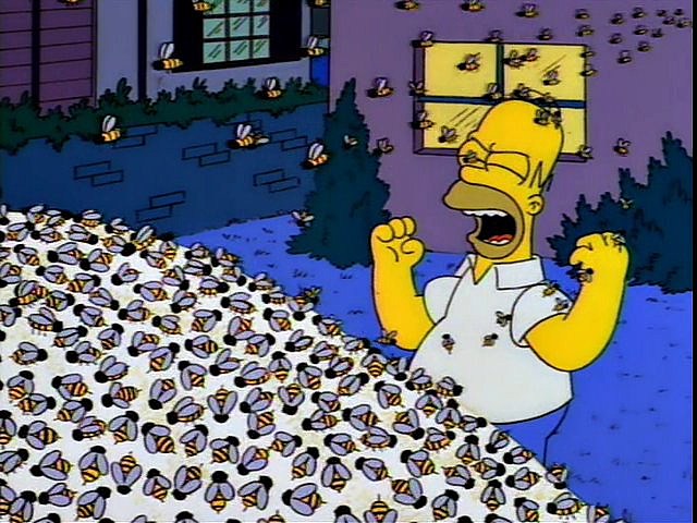 Matchbox 20 concert delayed by swarm of bees
