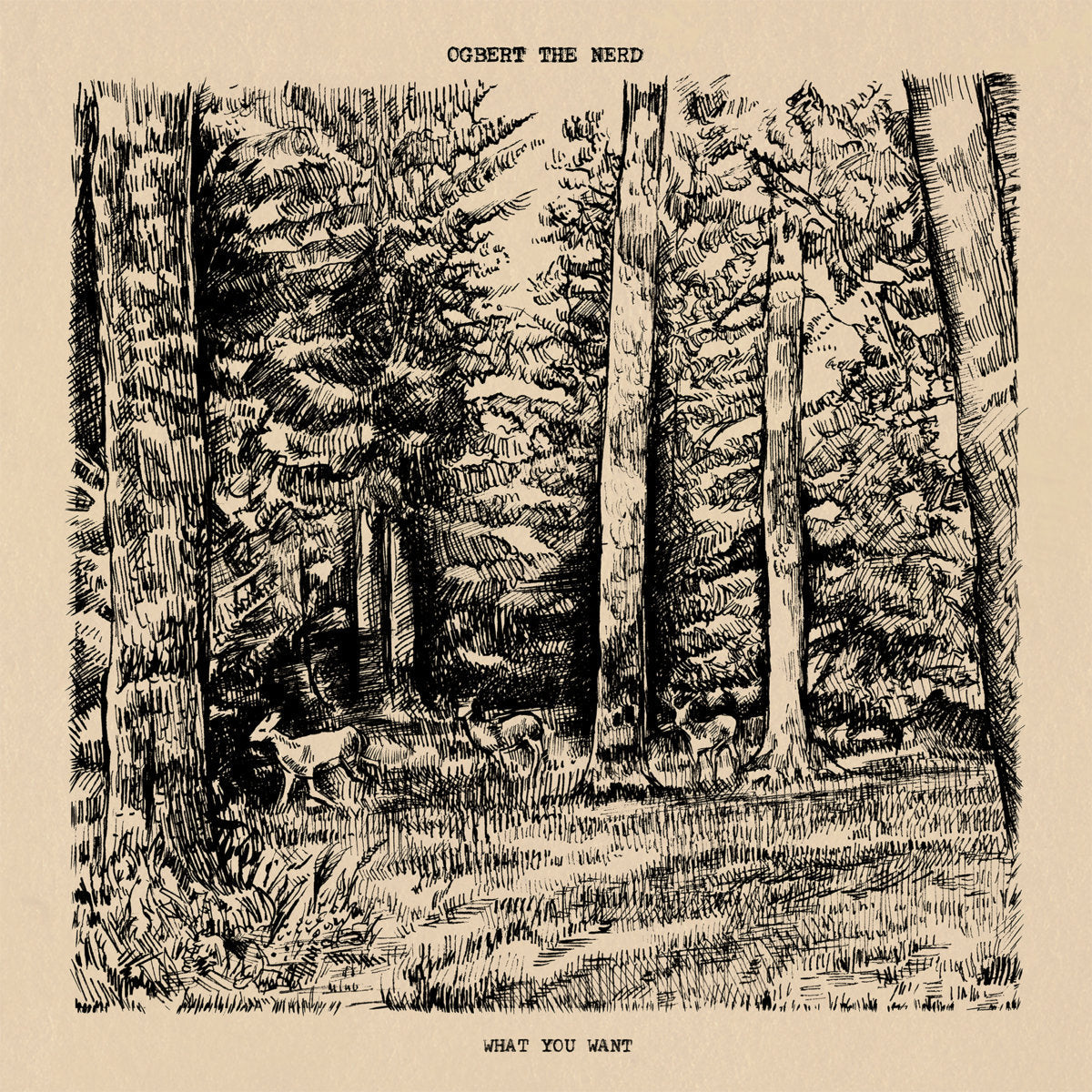 Stream NJ emo band Ogbert the Nerd’s new album ‘What You Want’