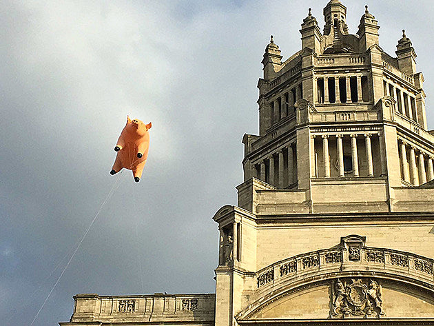 Pink Floyd exhibition coming to London in 2017, announced via flying pig