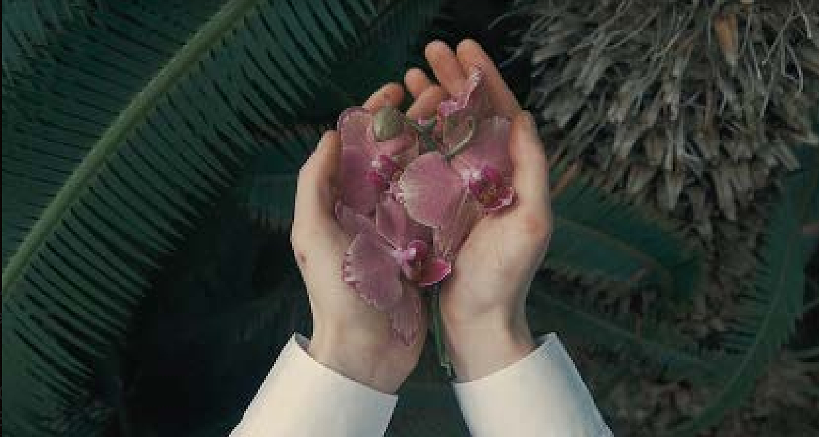Trentemoller shares creepy “Sinus” video; North American tour starts next week