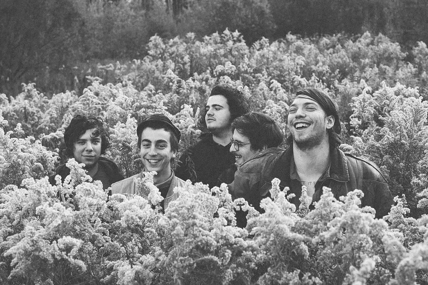 Twin Peaks released “Wanted You” video & live LP, expand tour