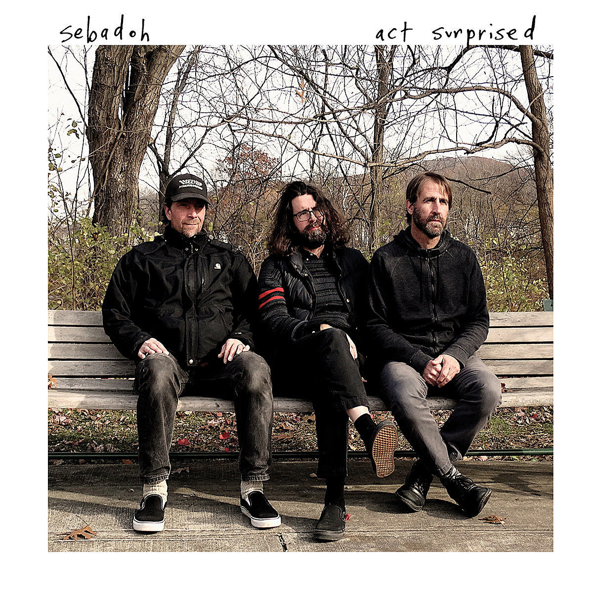 Sebadoh announce 2020 spring tour with Versus, Flower & more