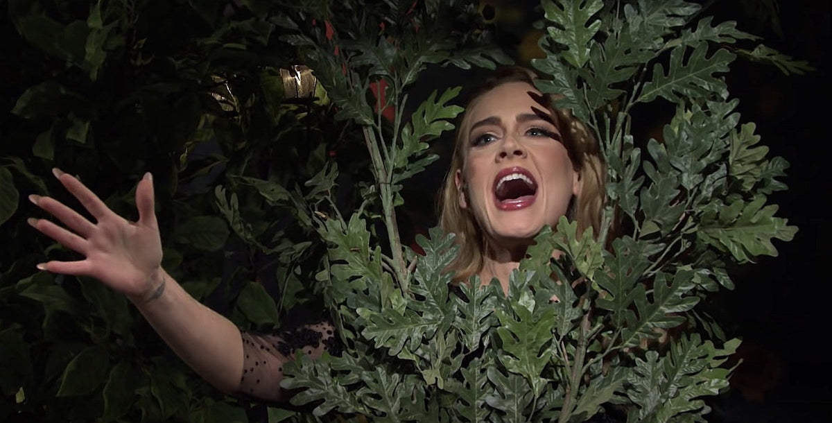 SNL: watch Adele and H.E.R. +++ The Strokes and John Mulaney doing Halloween episode