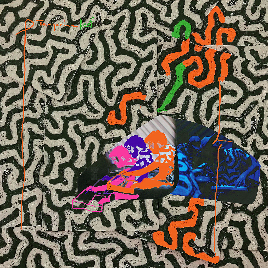 Animal Collective announce audiovisual album, share video; Deakin touring