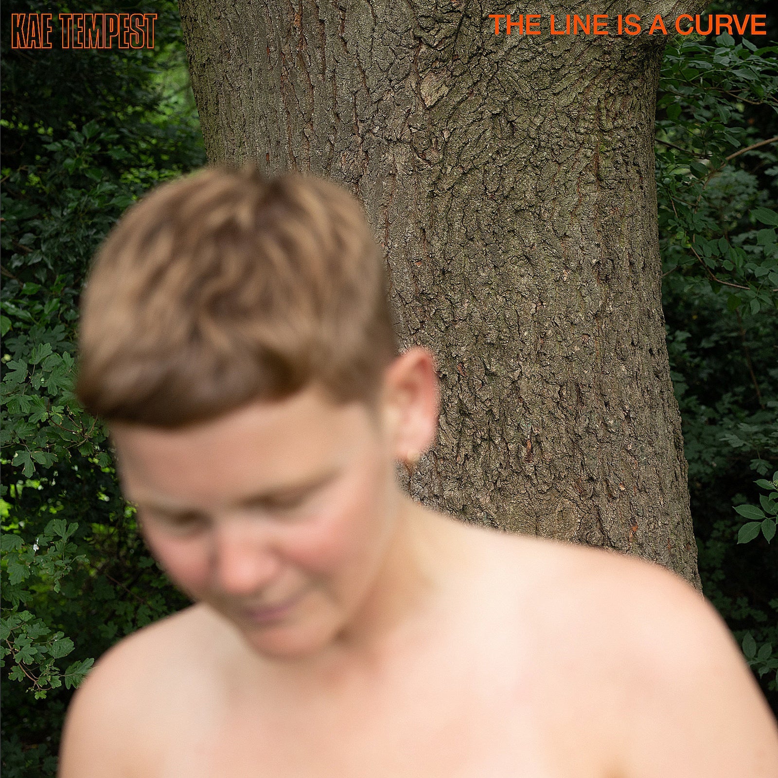 Listen to Kae Tempest’s “I Saw Light” ft Fontaines D.C.’s Grian Chatten