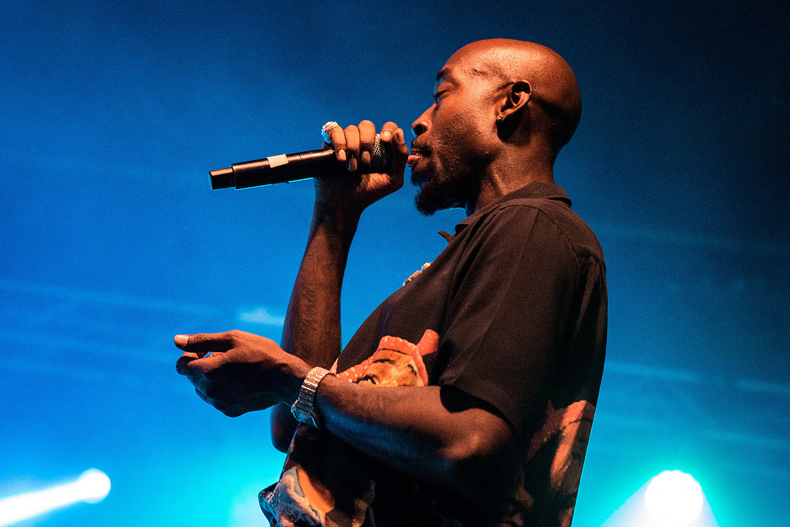 Afropunk Fest 2022 Saturday pics (The Roots, Freddie Gibbs, Tierra Whack, Doechii, more)
