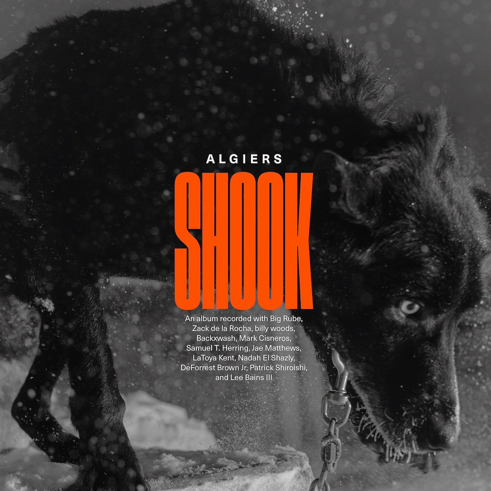 Algiers break down every track on new guest-filled album ‘Shook’