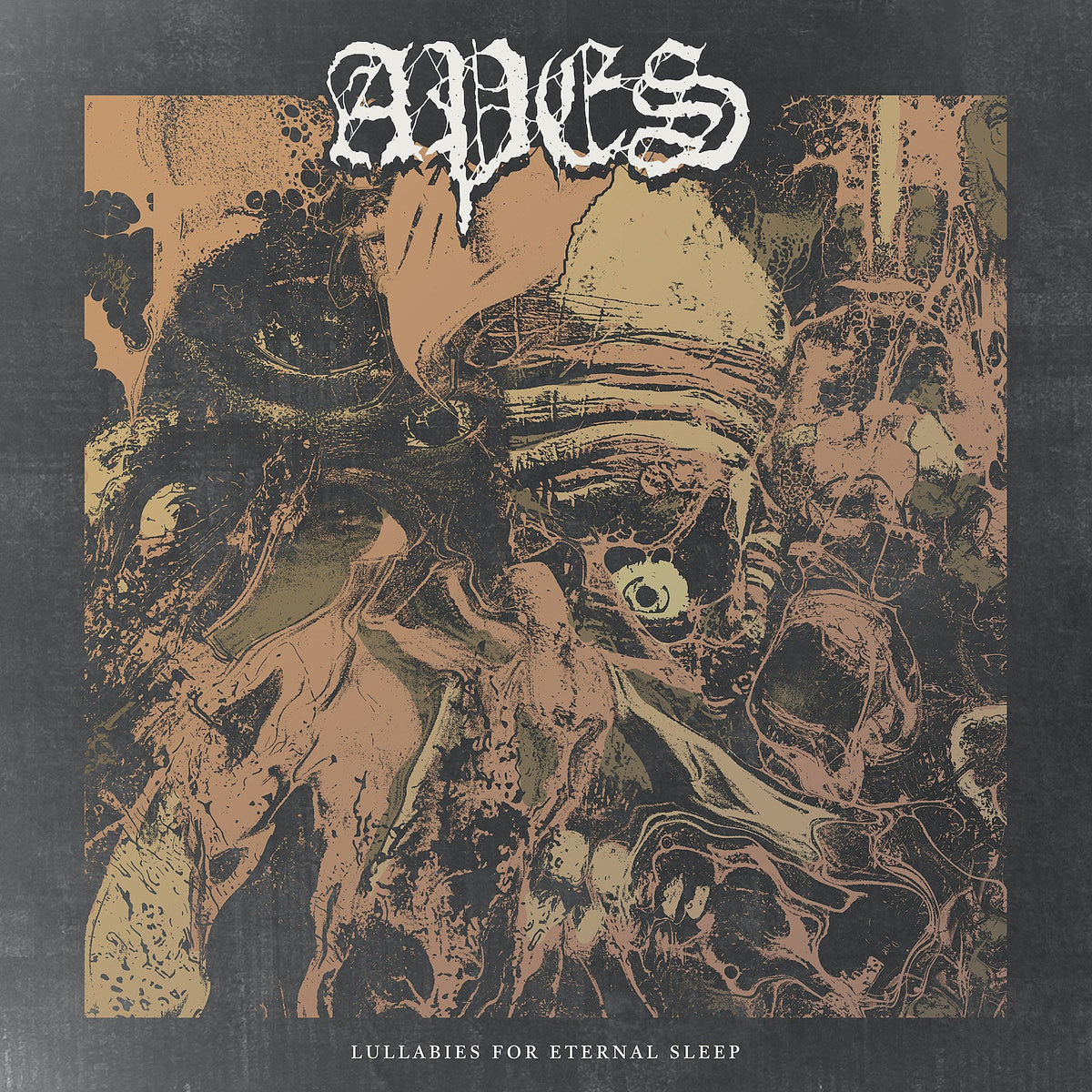 APES team with Will Putney & Full of Hell’s Dylan Walker for new EP (watch the “Cornwall” video)