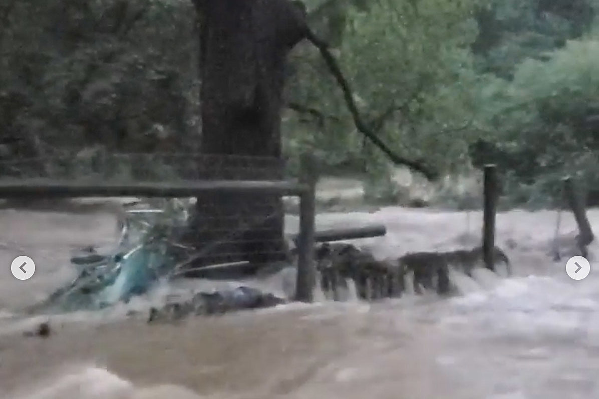 Ben Weinman’s (Dillinger Escape Plan) NJ animal sanctuary hit by flooding & tornado