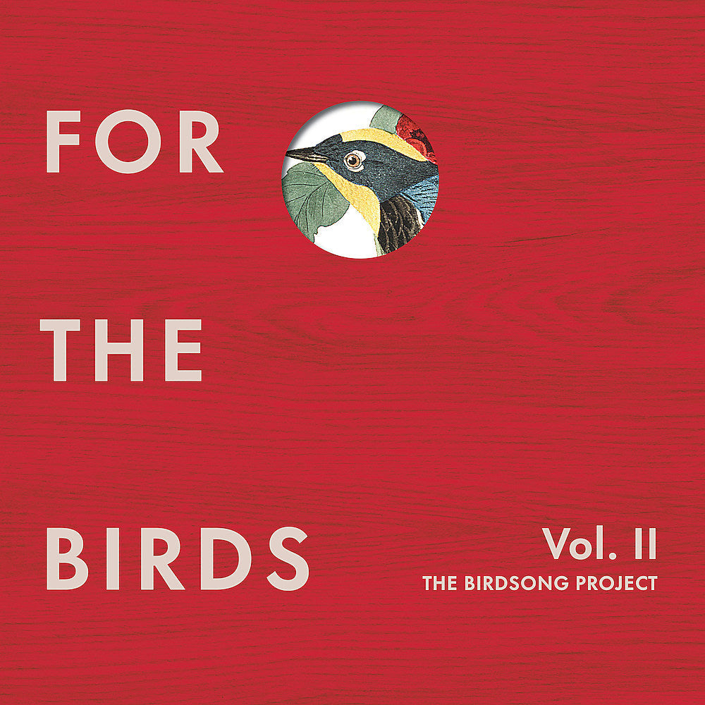 Jeff Tweedy, The Flaming Lips & more wrote birdsong-inspired songs for new benefit LP (listen)