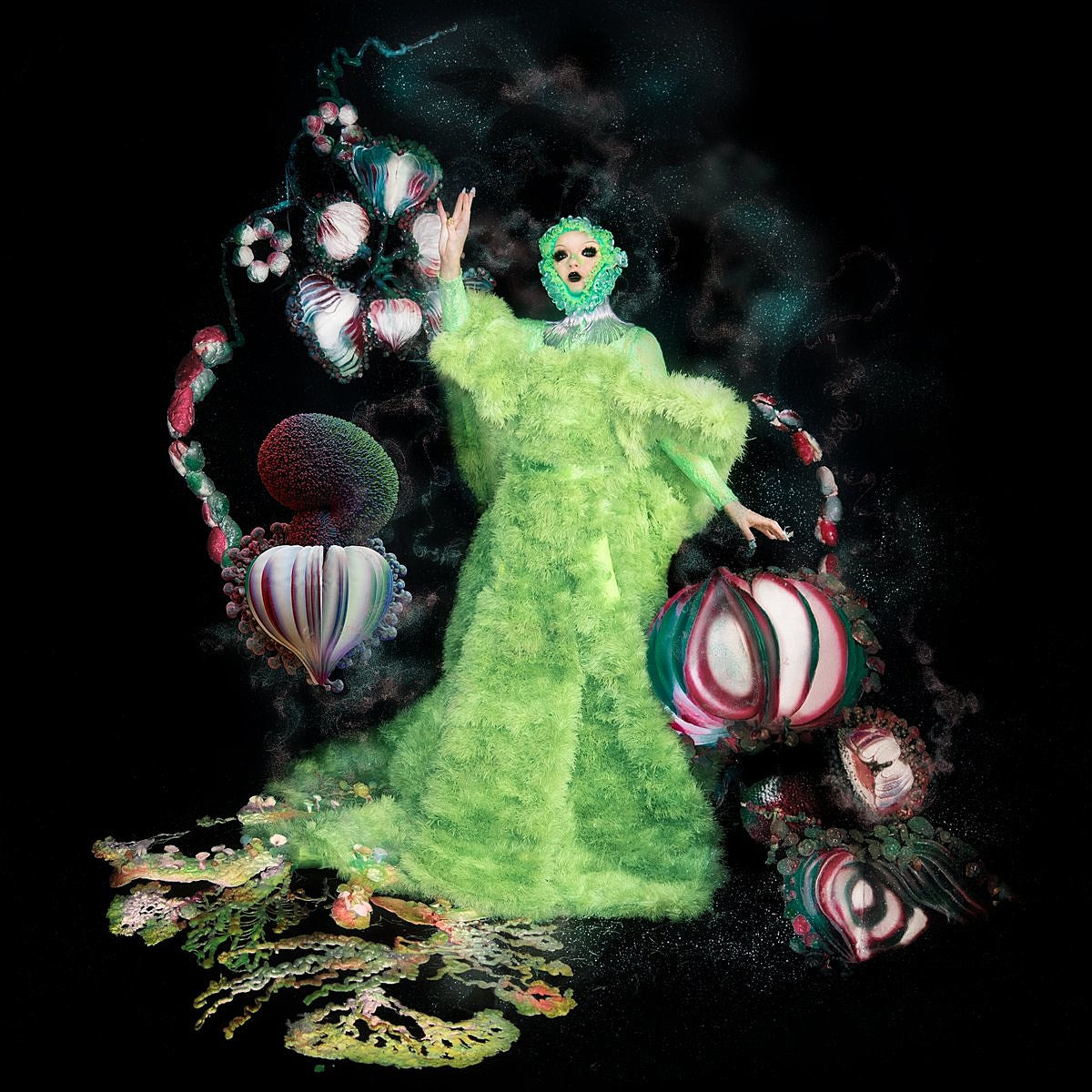 Bjork shares more ‘Fossora’ details, title of the album’s first single