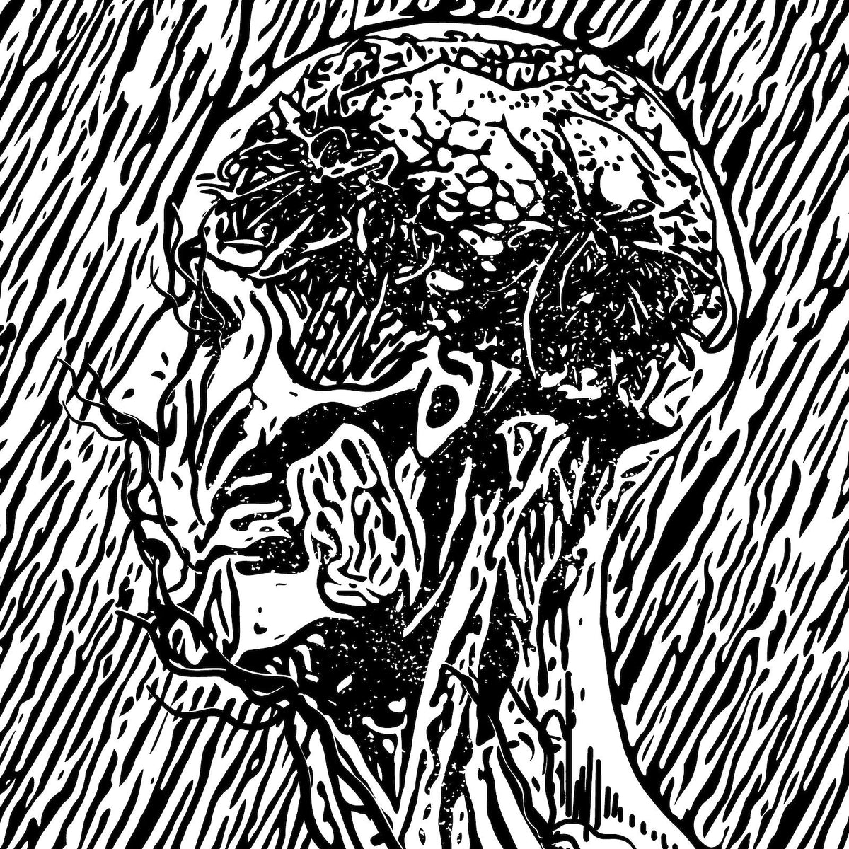 Ditch Organ (mem Fawn Limbs) prep debut EP (stream “Metaphasing Snarges”)