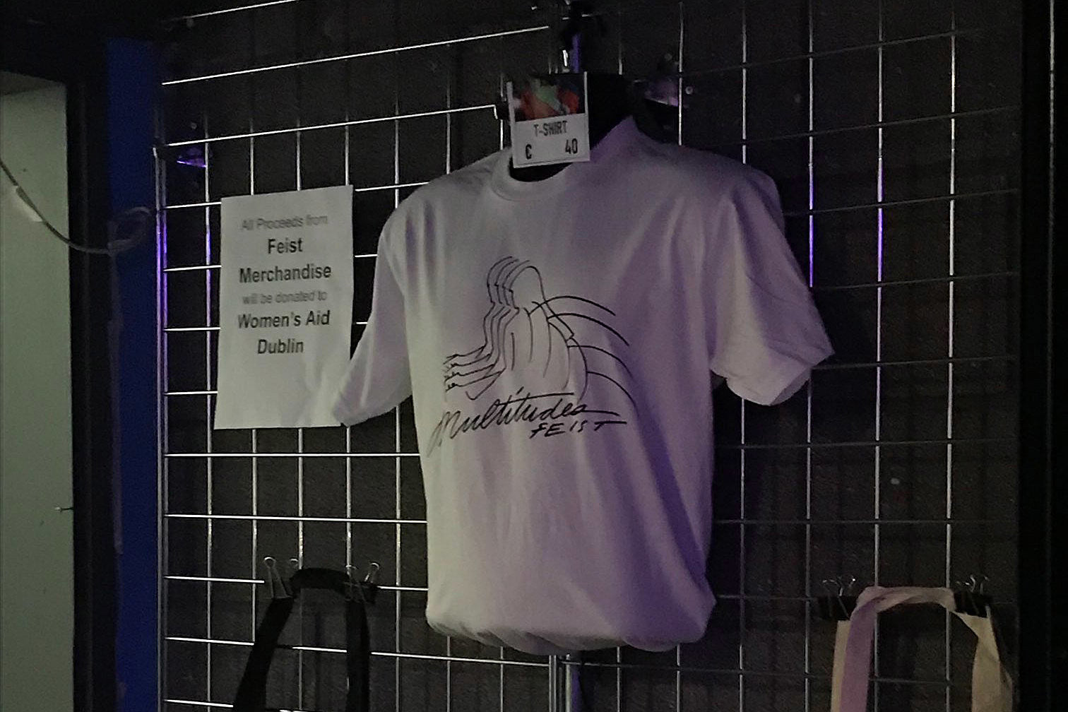 Feist donating merch proceeds from Arcade Fire show to Women’s Aid Dublin