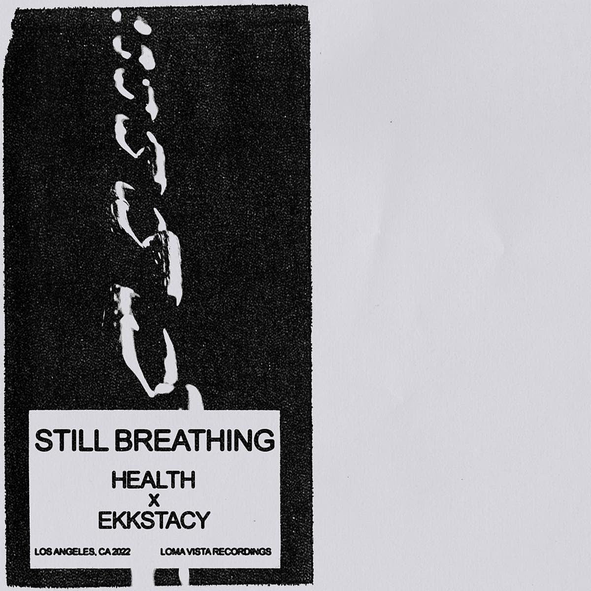 HEALTH share song with EKKSTACY from upcoming collabs album (listen)