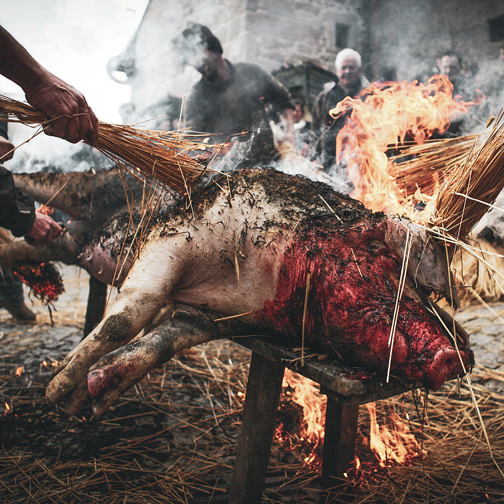 Portuguese grind vets Holocausto Canibal prep new LP ‘Crueza Ferina’ (watch a video)