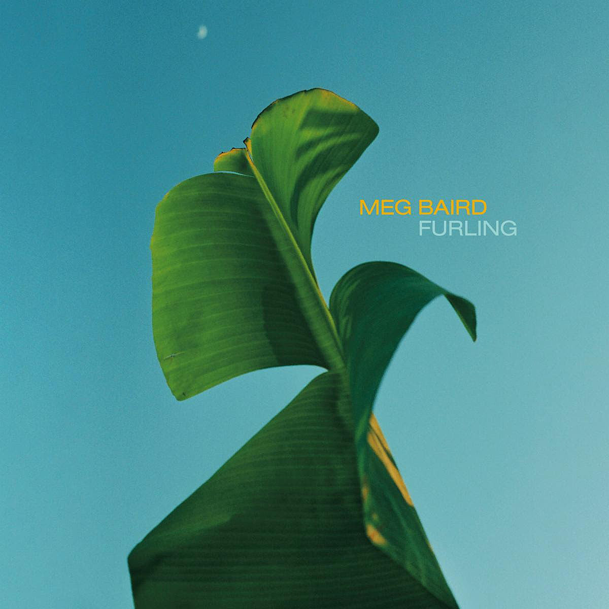 Meg Baird announces new album, shares gorgeous song “Will You Follow Me Home?”