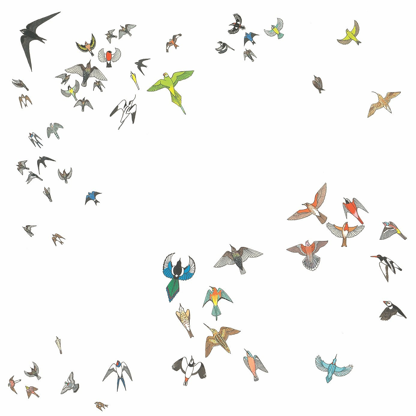 Modern Nature announce new album, share “Murmuration”