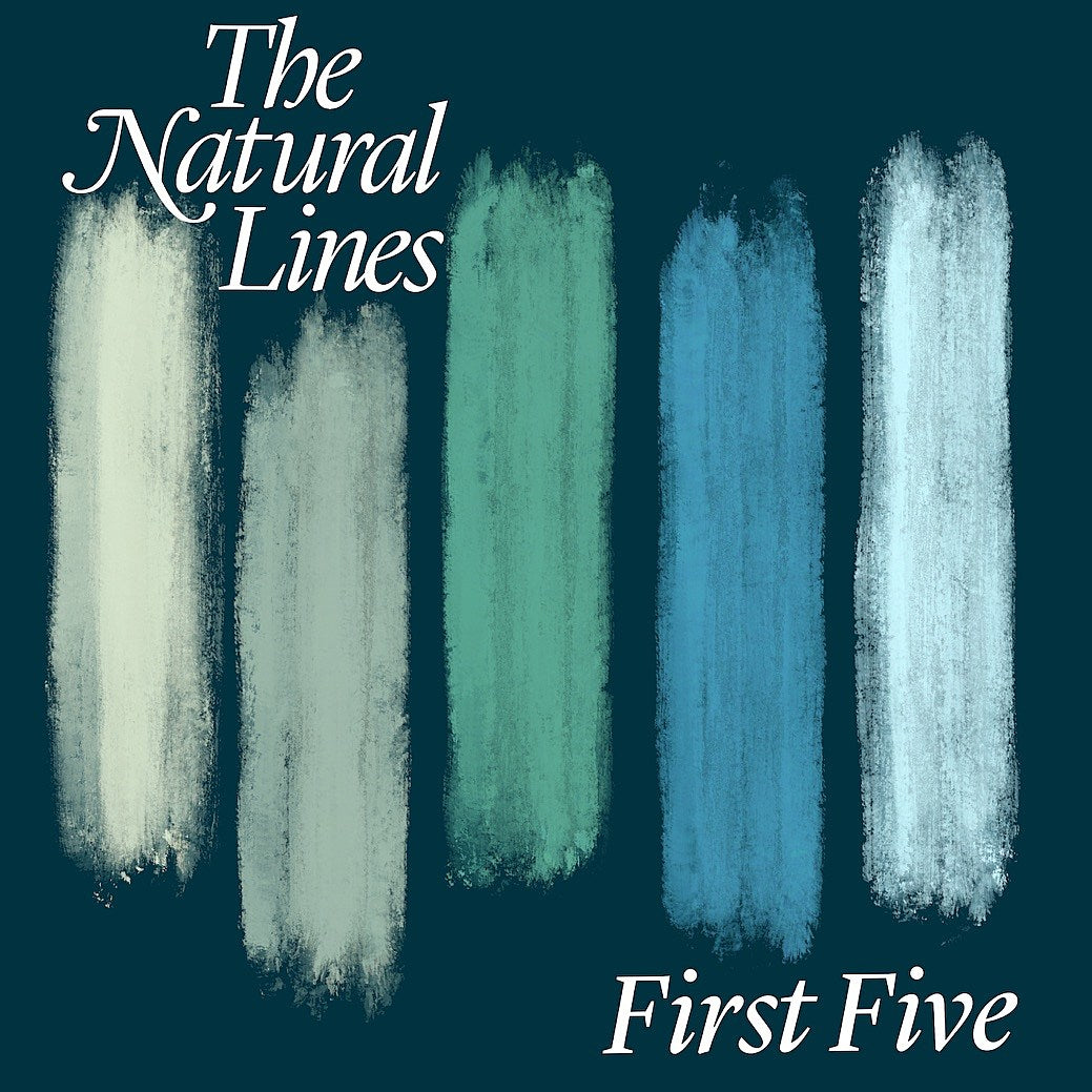 The Natural Lines (Matt Pond) announce debut EP (watch the “The Problem Is Me” video)