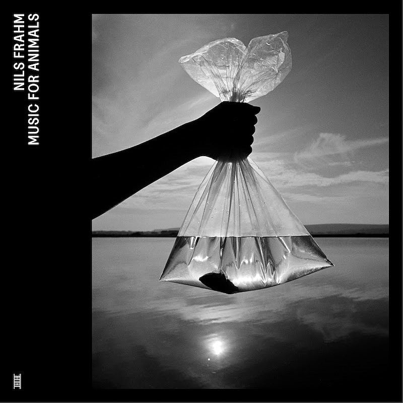 Nils Frahm announces new 3-hour album and 2023 tour, shares “Right Right Right”