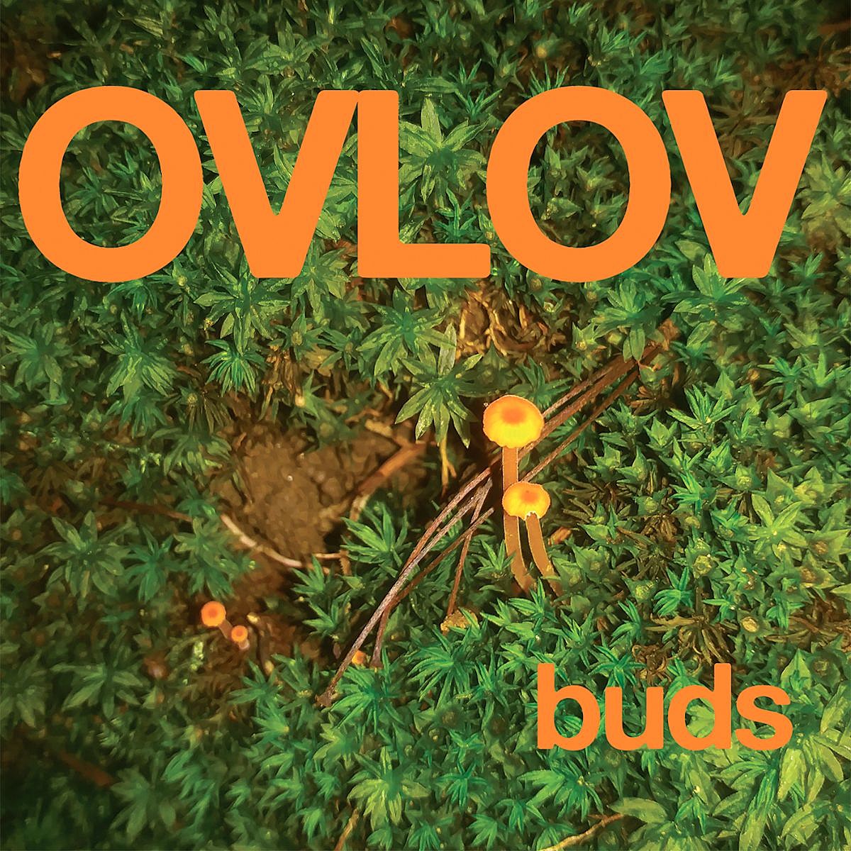 Ovlov announce new album ‘Buds,’ share new song “Land of Steve-O”
