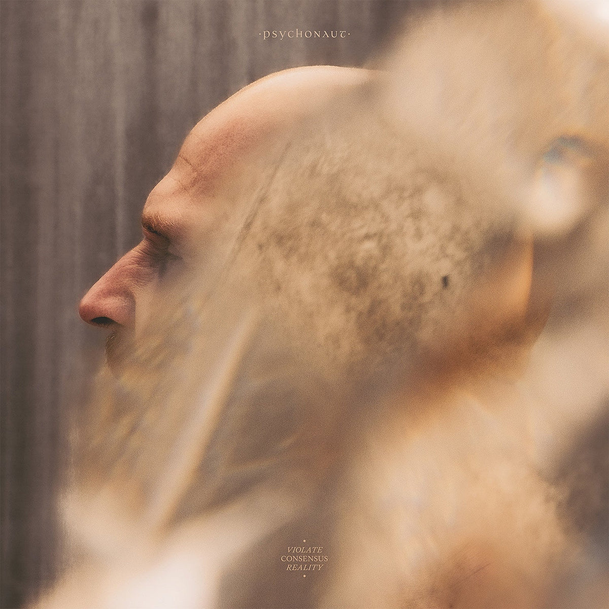 Psychonaut tap Brutus & Amenra vocalists for 9-minute post-metal epic “Violate Consensus Reality”