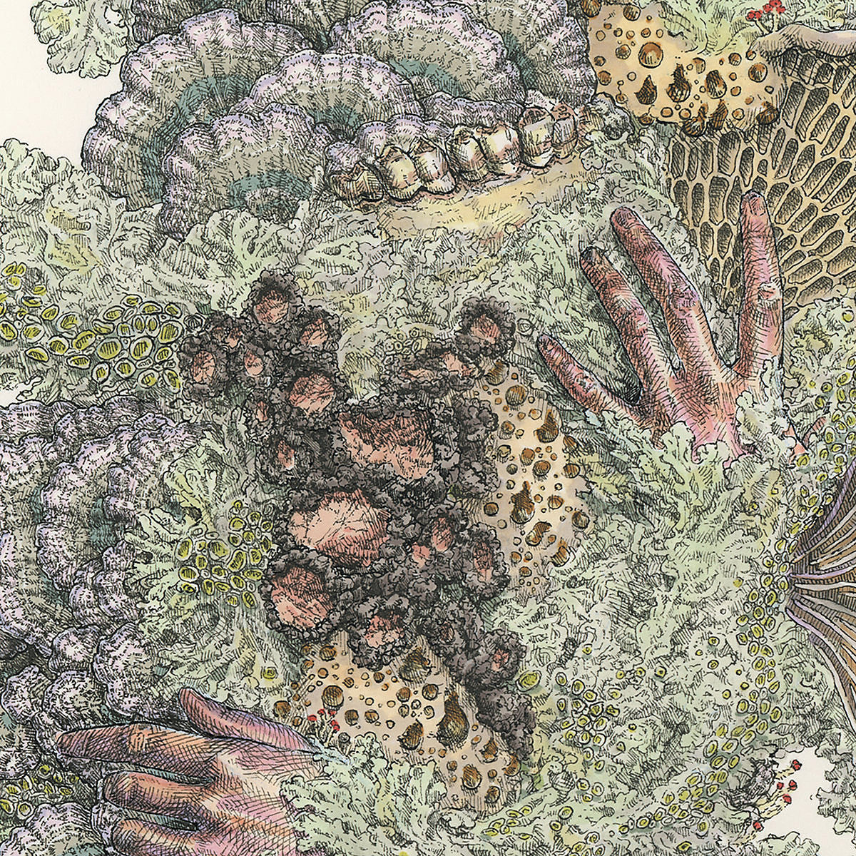 Experimental sludge trio Pyrithe announce debut LP, share “Glioblastoma”