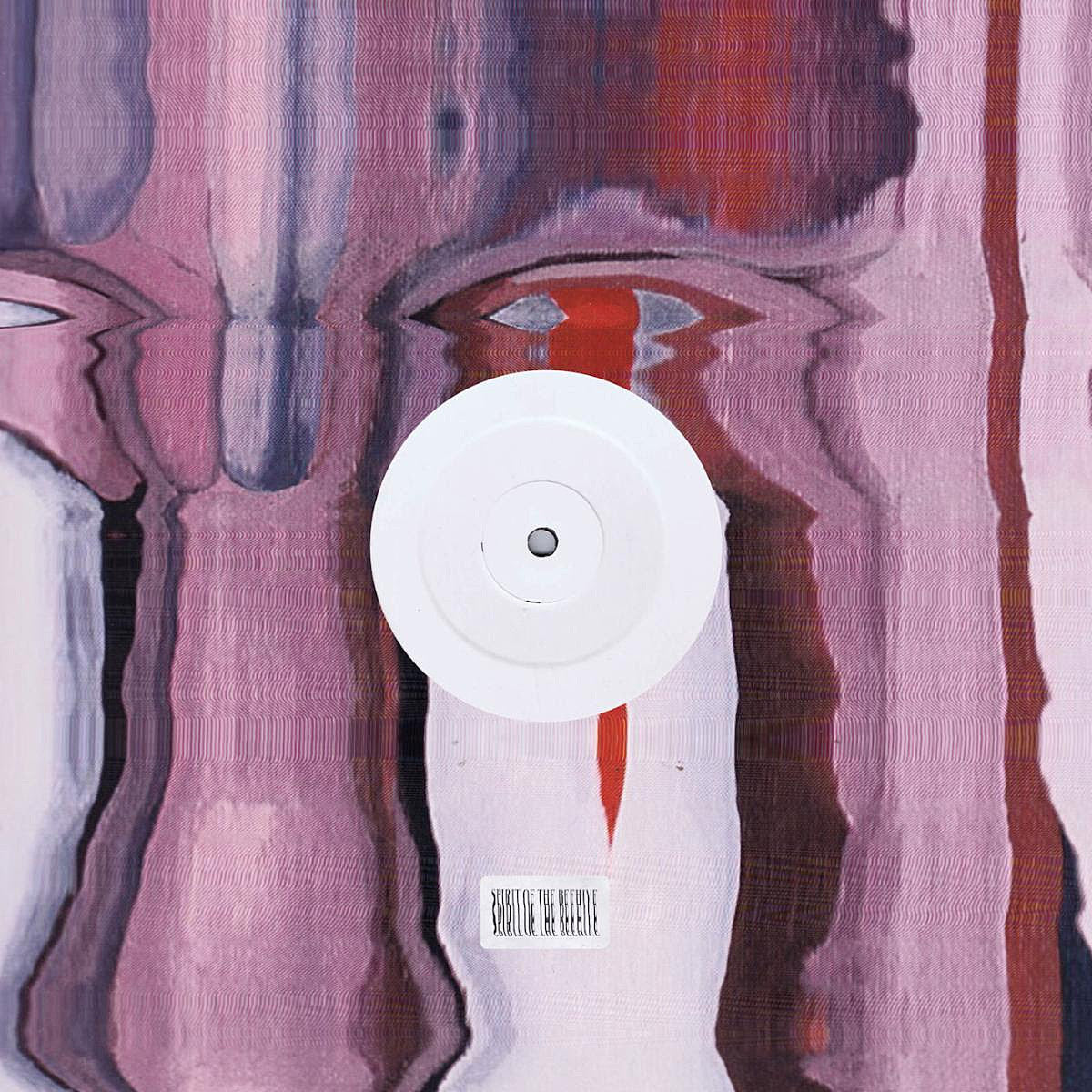 Animal Collective’s Avey Tare remixes Spirit of the Beehive’s “IT MIGHT TAKE SOME TIME”