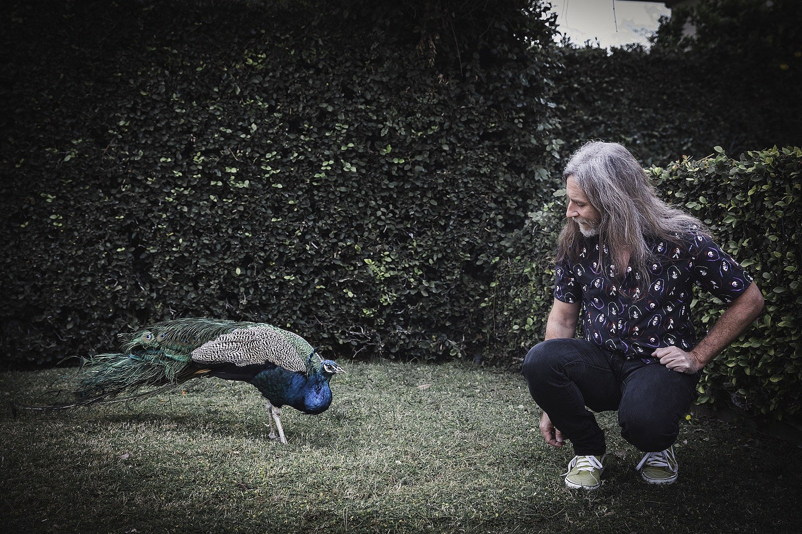 Pink Mountaintops’ Stephen McBean discusses the influences behind ‘Peacock Pools’