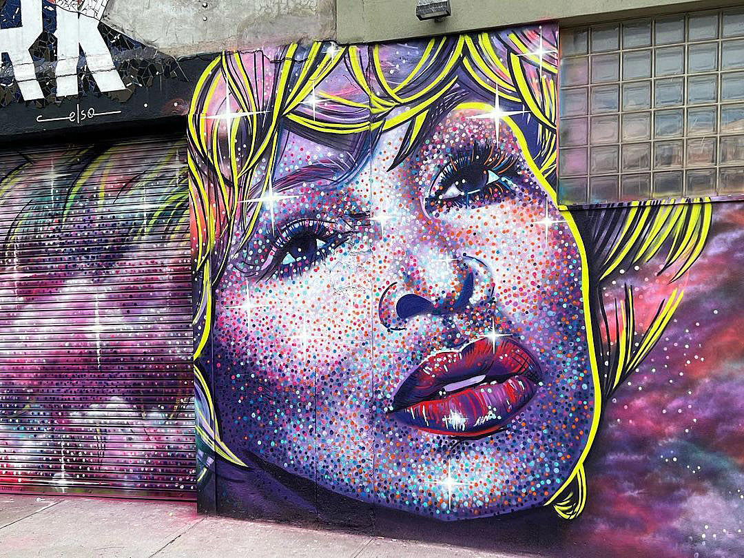 Tina Turner & Trugoy the Dove honored with new Bushwick street art