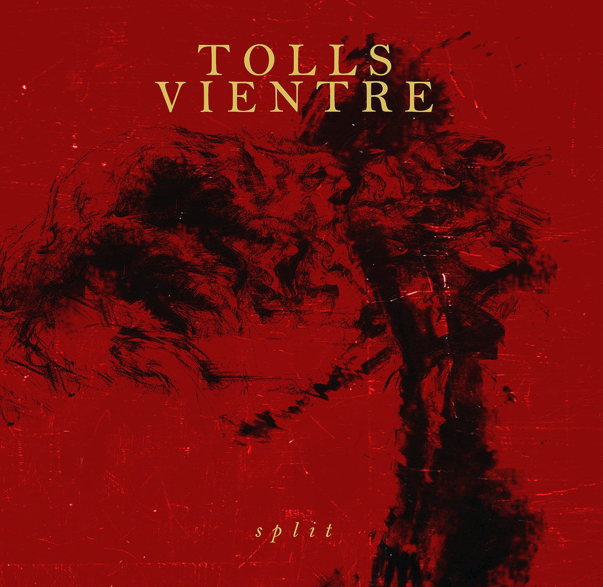 Stream Vientre and Tolls’ (mem Senza) new songs from upcoming split