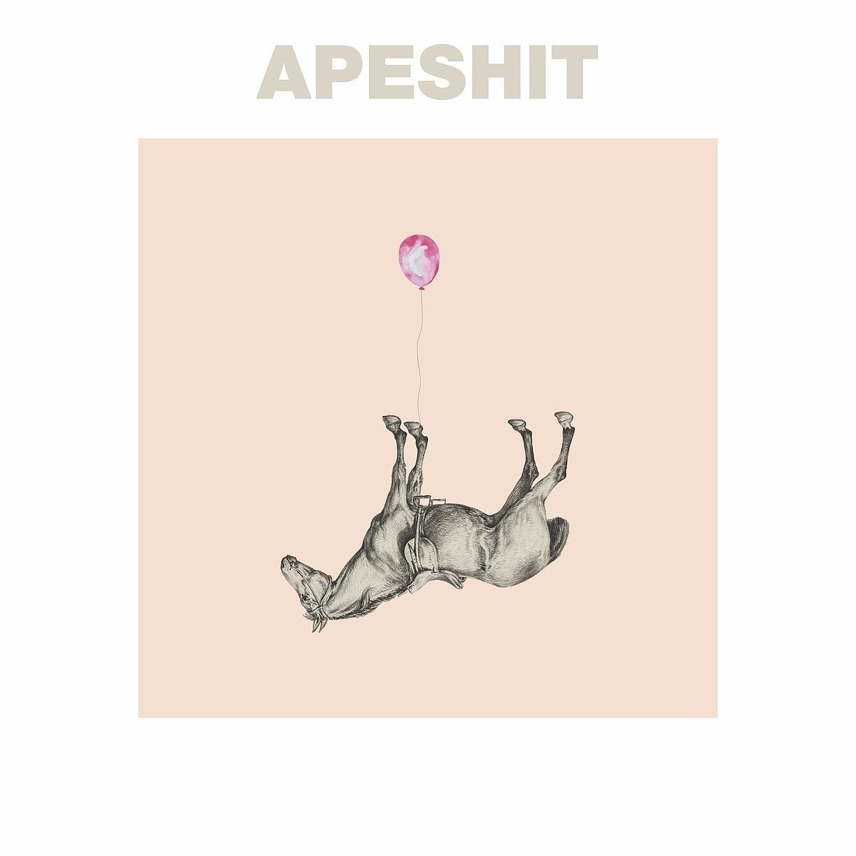 The Sound of Animals Fighting share first new song in 14 years, “Apeshit”