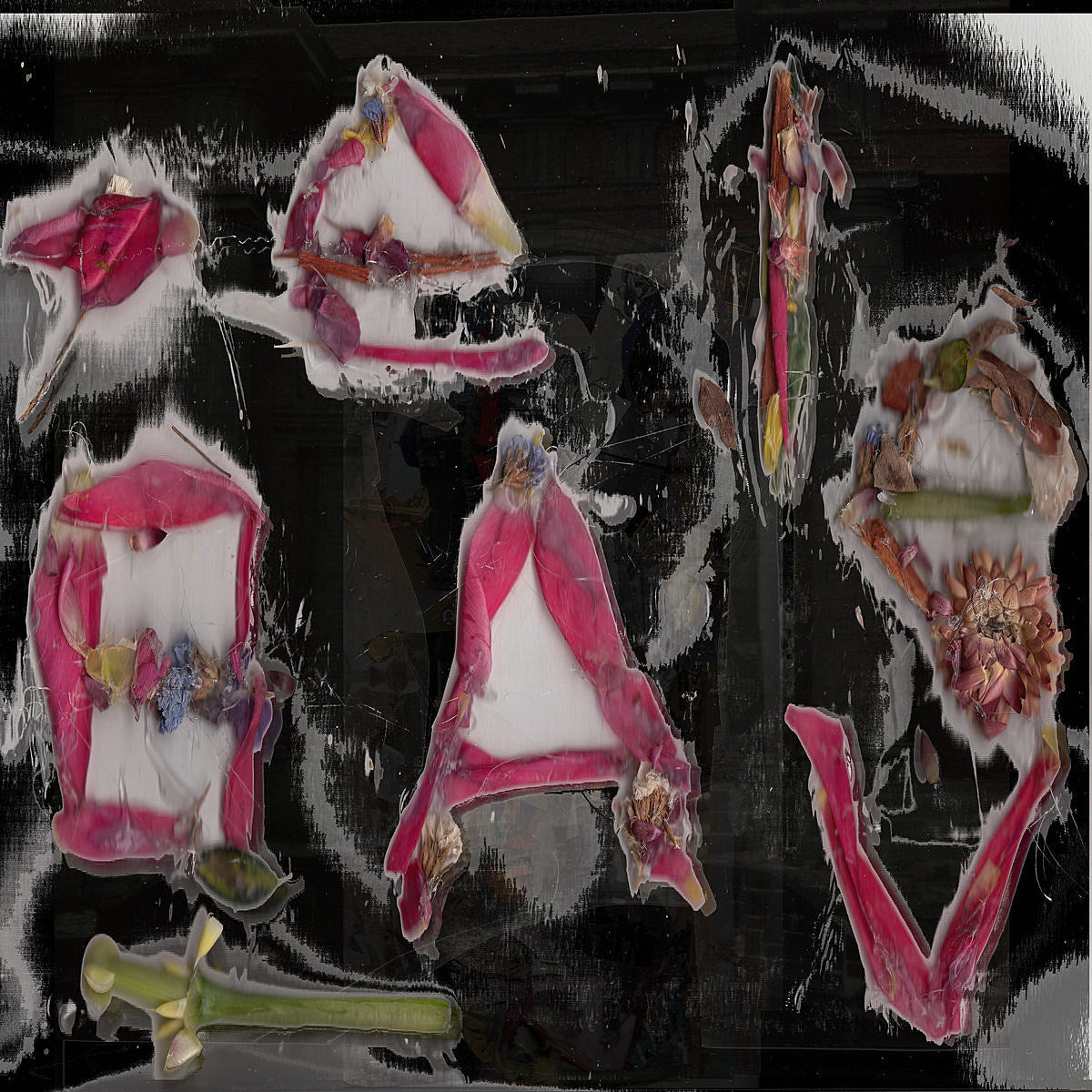 Devon Welsh (ex Majical Cloudz) released new Belave LP, touring w/ Tim Darcy