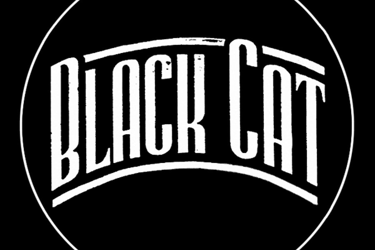 Black Cat celebrating 27 years w/ livestreams ft. Ted Leo, Mike Watt, Hammered Hulls, more