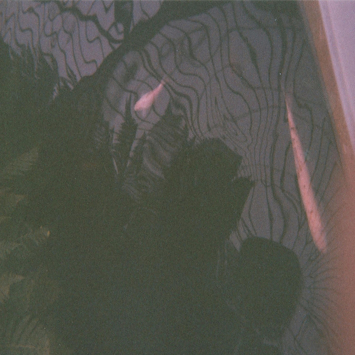 Dream pop band Cathedral Bells discuss the music that influenced new LP ‘Ether’ (stream it)