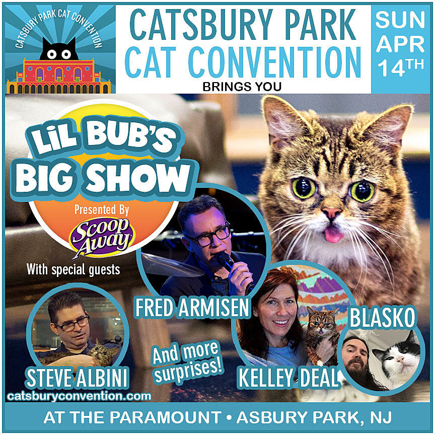 Lil BUB interviewing Fred Armisen, Steve Albini, Kelley Deal & more at NJ cat convention Catsbury Park