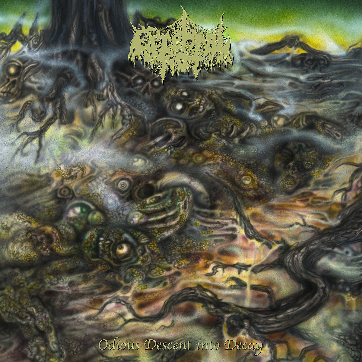 Cerebral Rot prepping debut LP, touring with Fetid