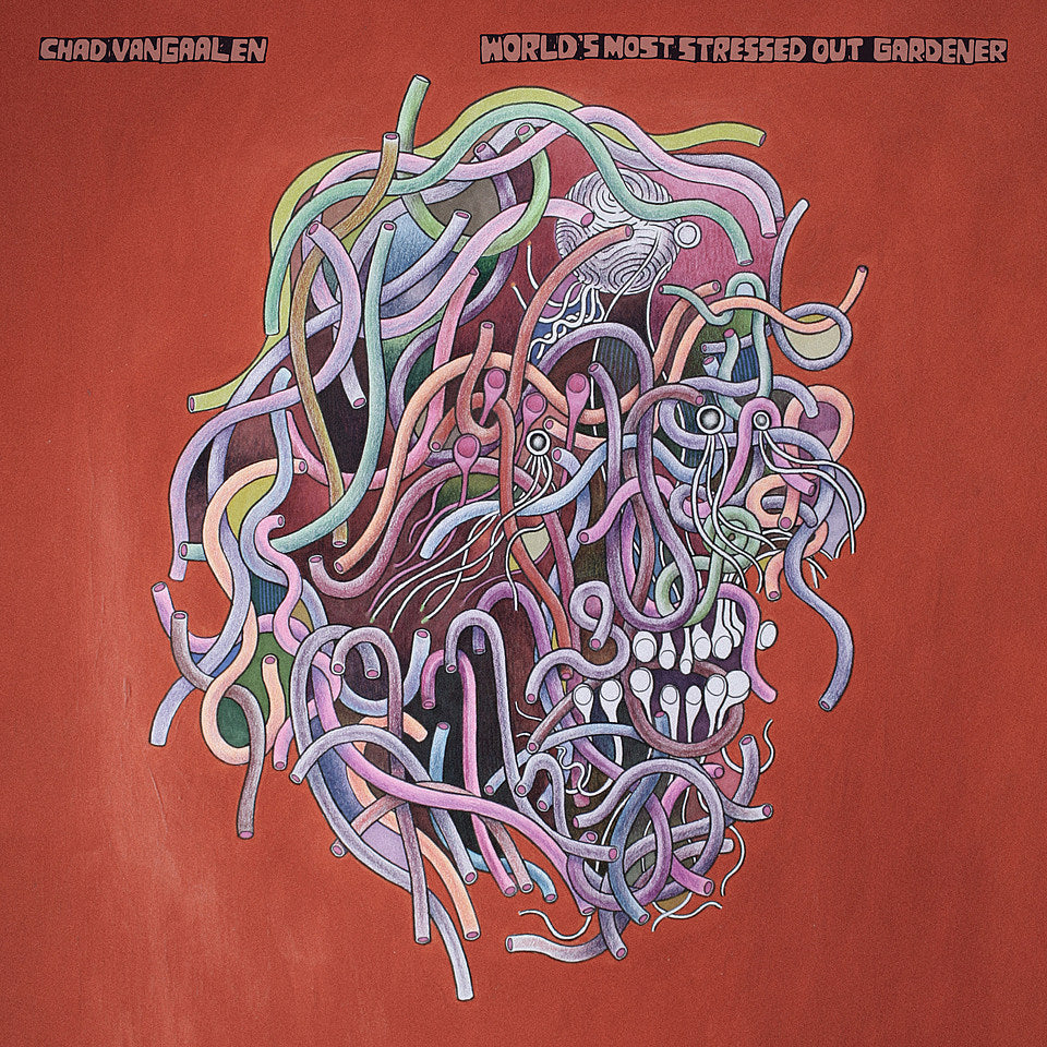 Chad VanGaalen announces new album, shares psychedelic animated video for new song