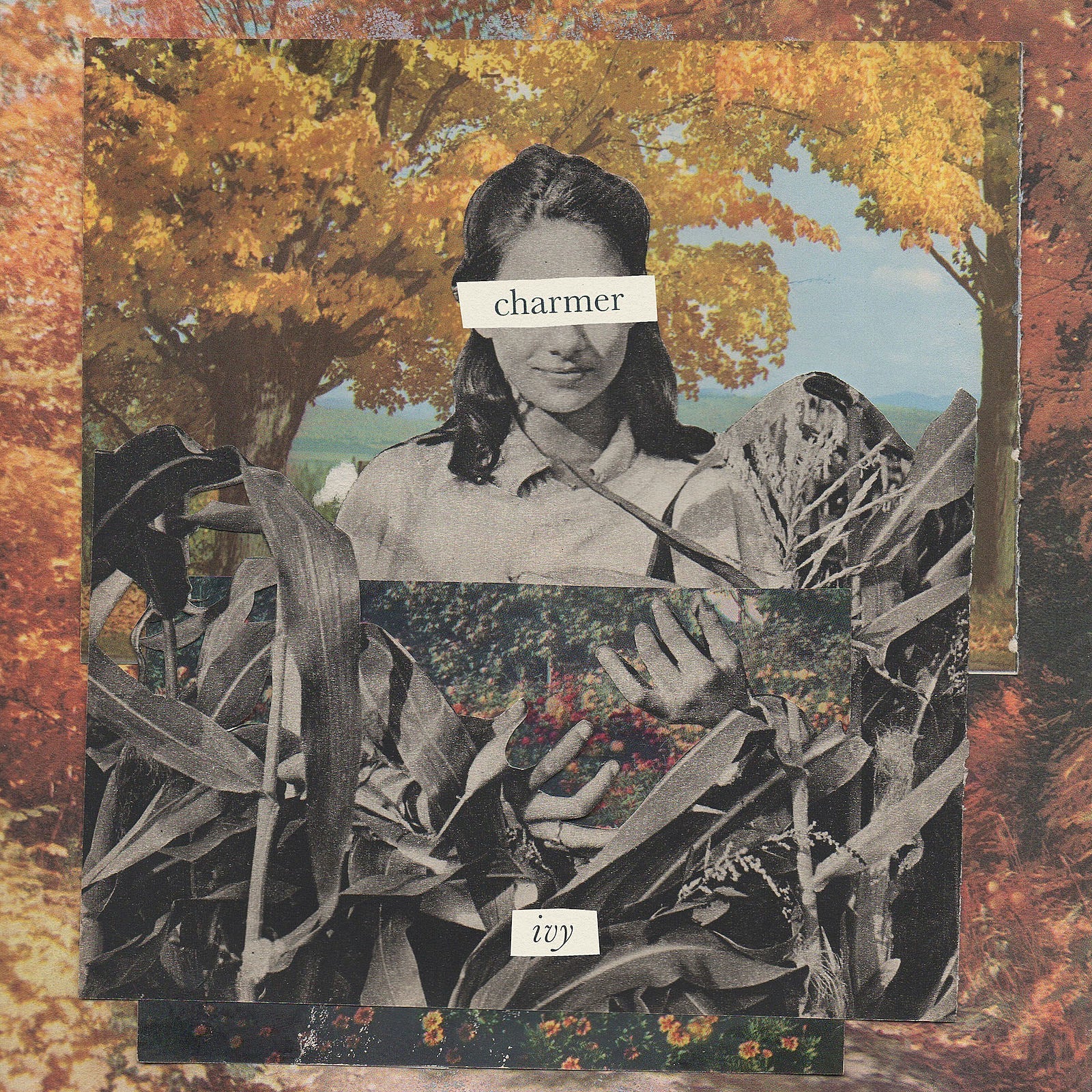 stream Charmer’s “Doom” from upcoming album ‘Ivy’