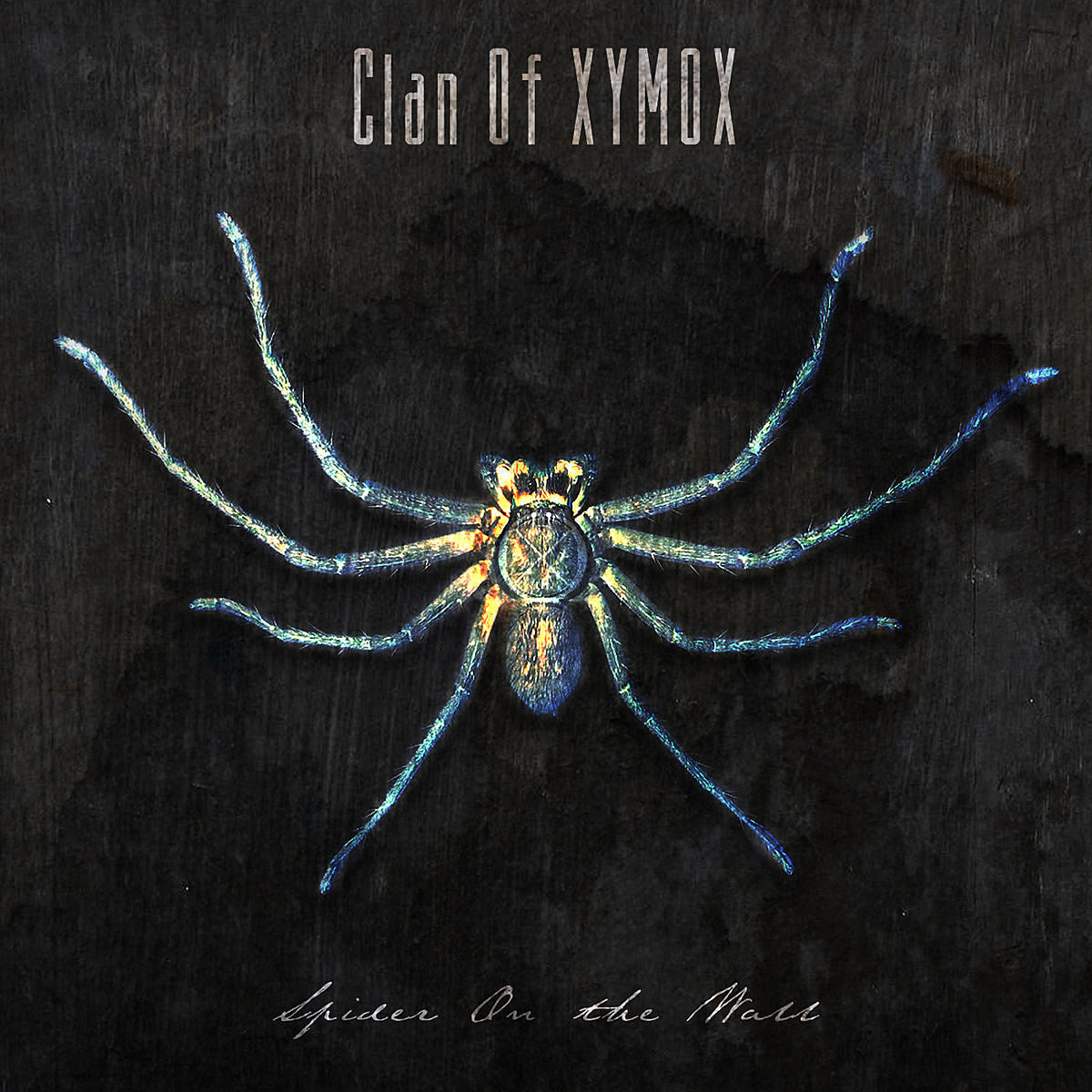 darkwave pioneers Clan of Xymox keep it gloomy on new LP ‘Spider on the Wall’