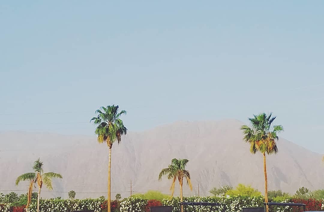Coachella 2018: drone security, St Vincent to debut new show, Cardi B’s will be expensive + more