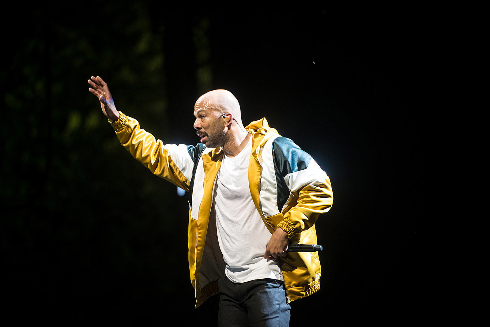 Common & Rapsody announce SummerStage in Central Park show