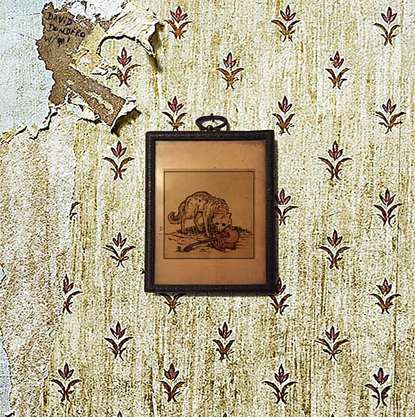 David Dondero released a Laura Jane Grace-produced EP, touring