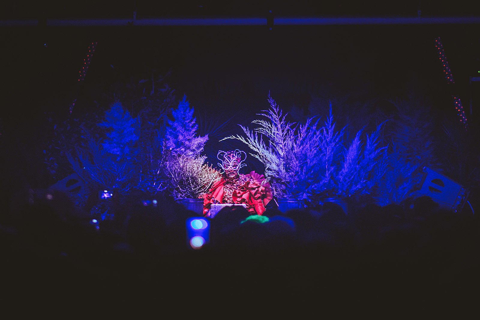 Bjork blames sexist media for negative reviews of her Day For Night DJ sets