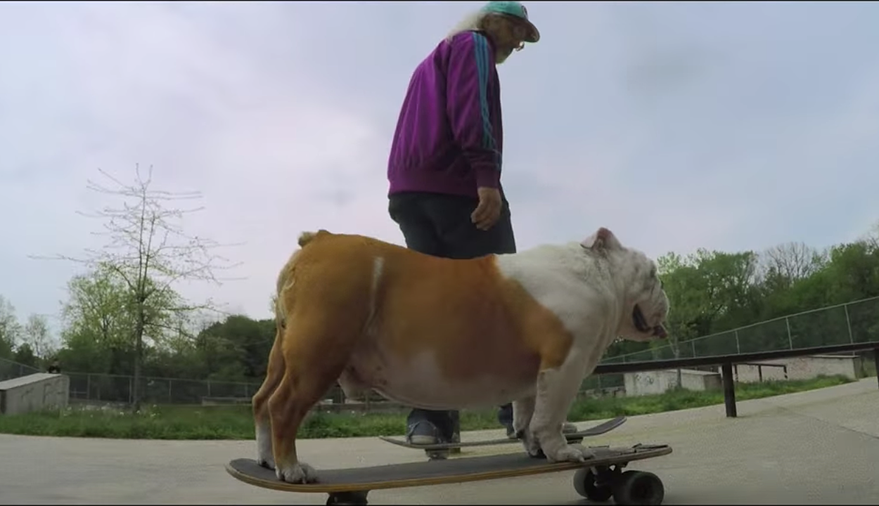 Dinosaur Jr. share “Tiny” video (watch)
