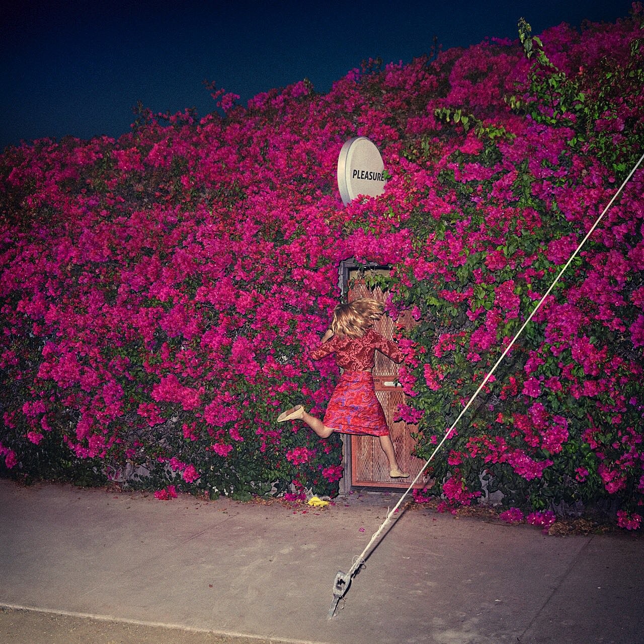 Feist adds additional NYC & LA shows to tour
