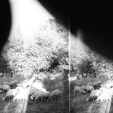 Godspeed You! Black Emperor add show at Warsaw to tour; Amen Dunes opening Terminal 5 (updated dates)
