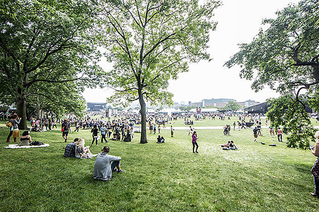 20 artists to see at Governors Ball 2016