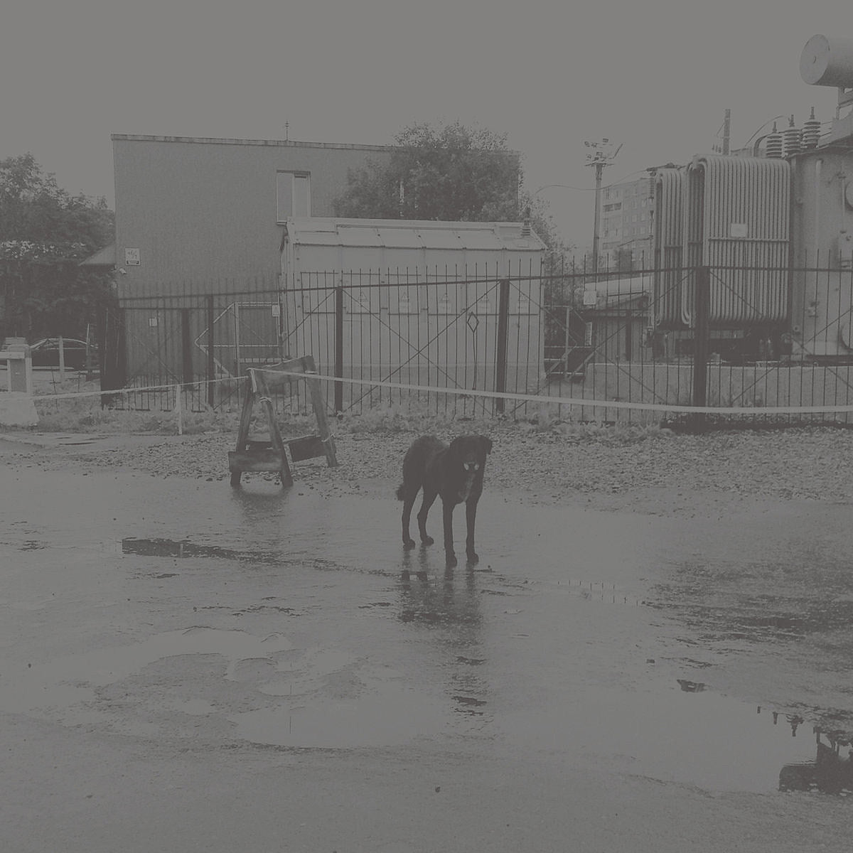 Grouper’s Liz Harris released a new double album as Nihvek (listen)