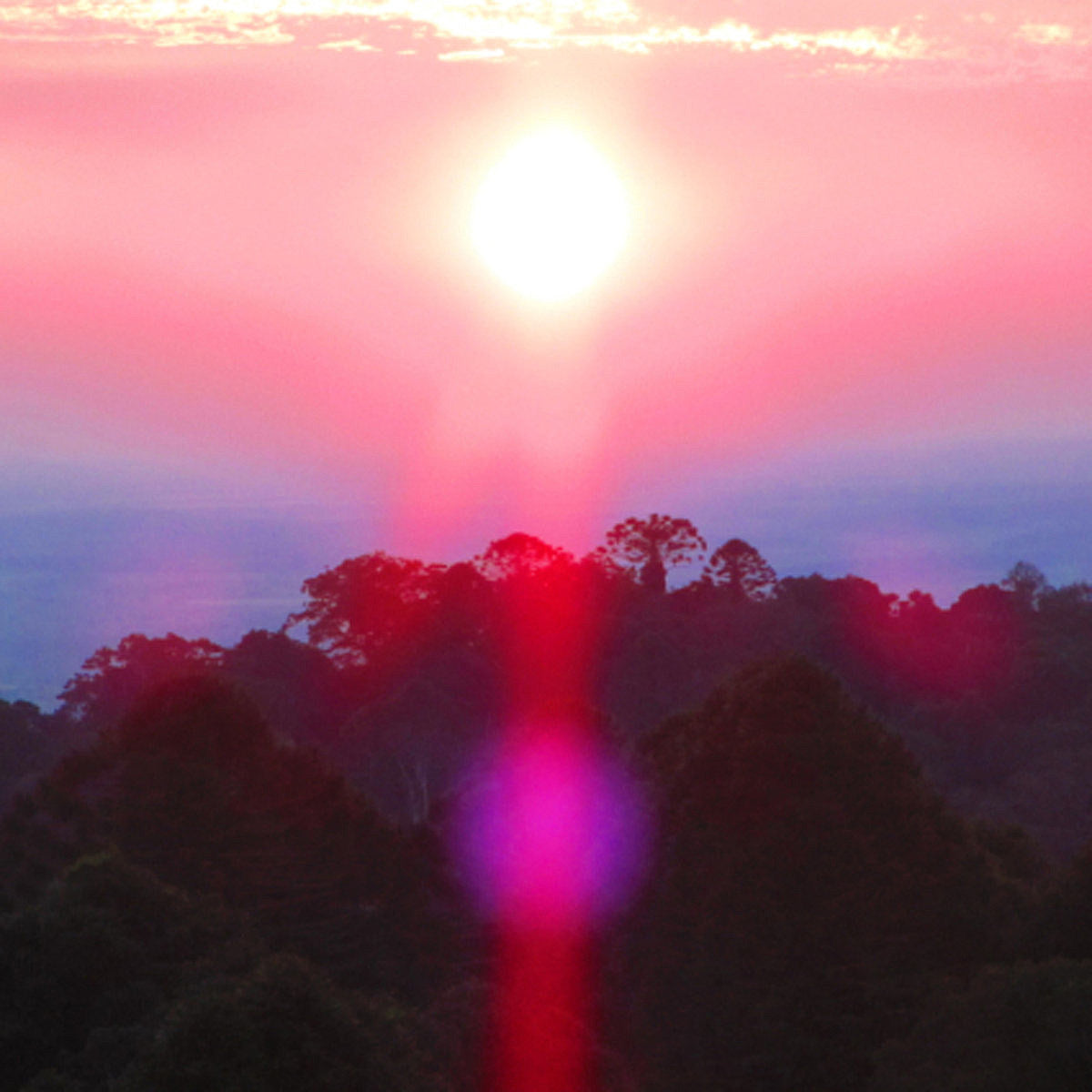 Grouper releases new two-song 7″, ‘Paradise Valley’ (stream it)